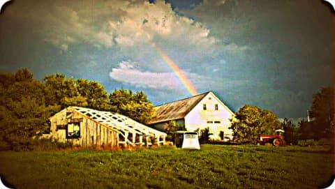 Grace Pond Farm