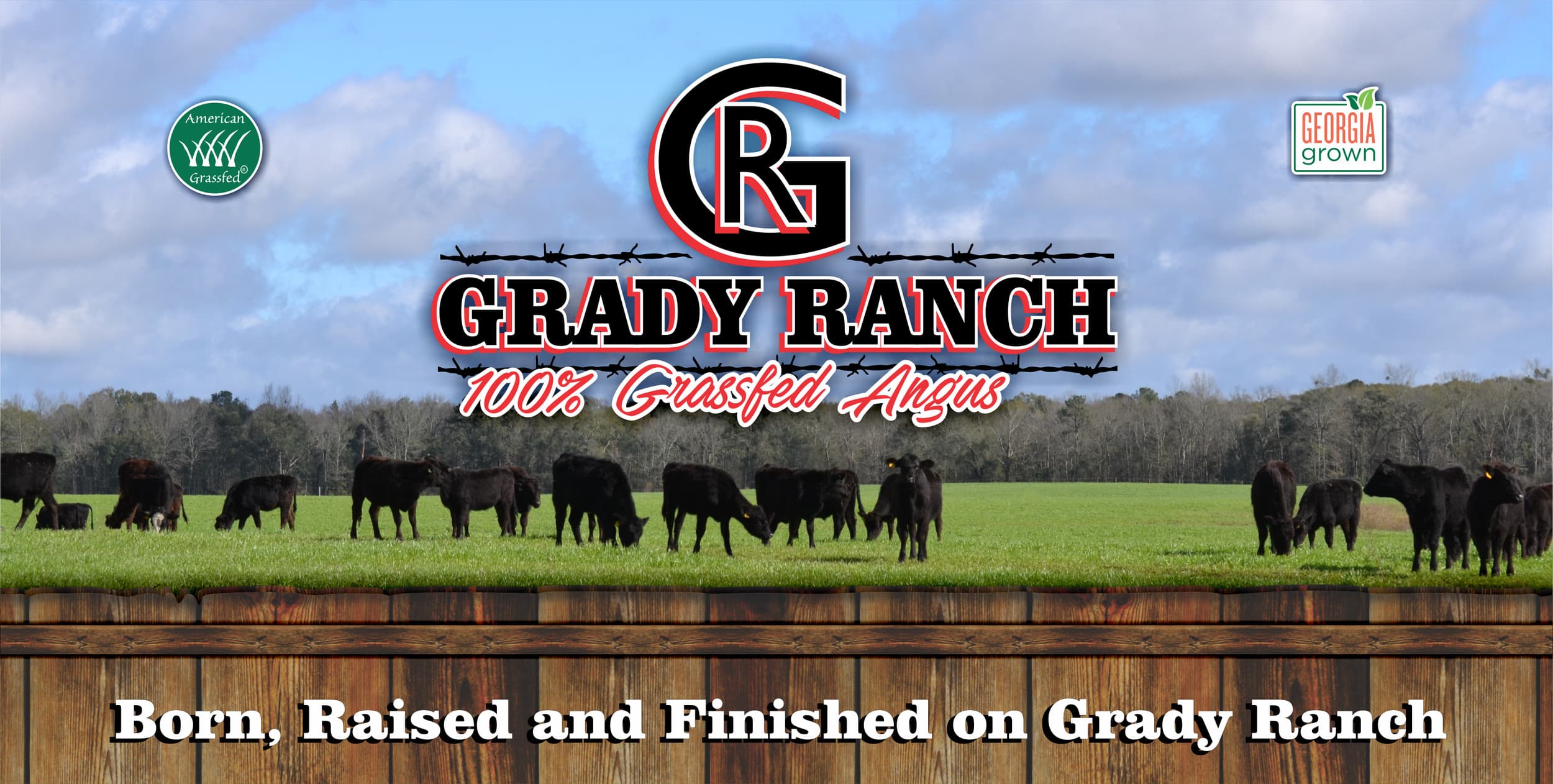 Grady Ranch photo 2