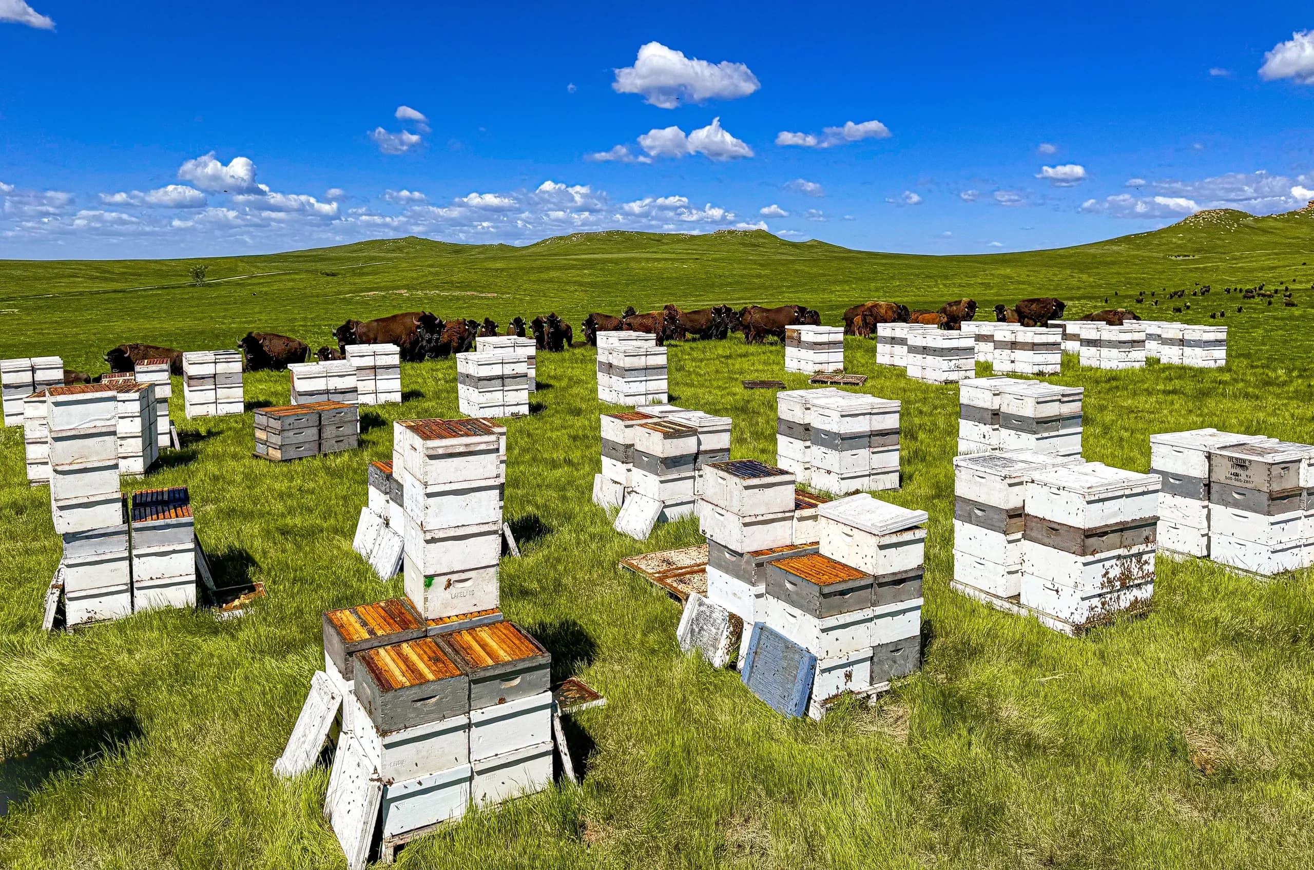 Grand River Honey Company photo 2