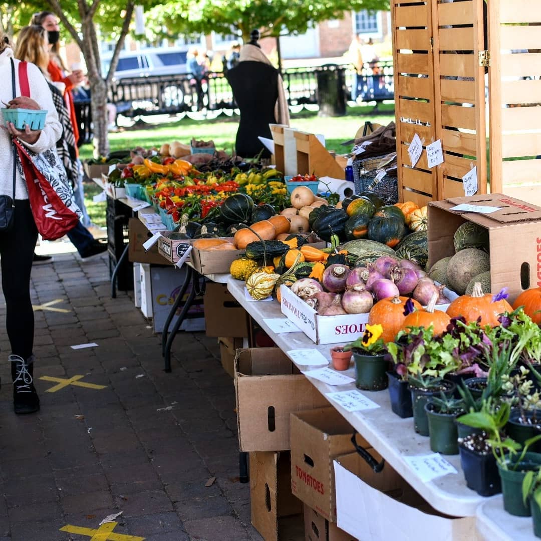 Green Market Farms photo 2