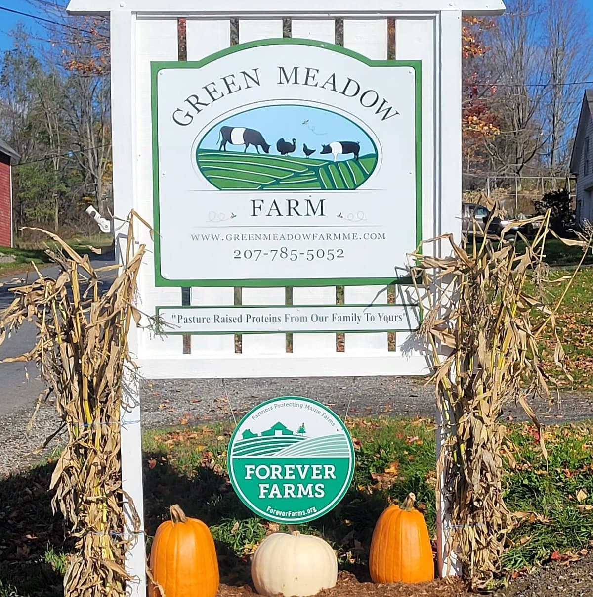 Green Meadow Farm photo 2