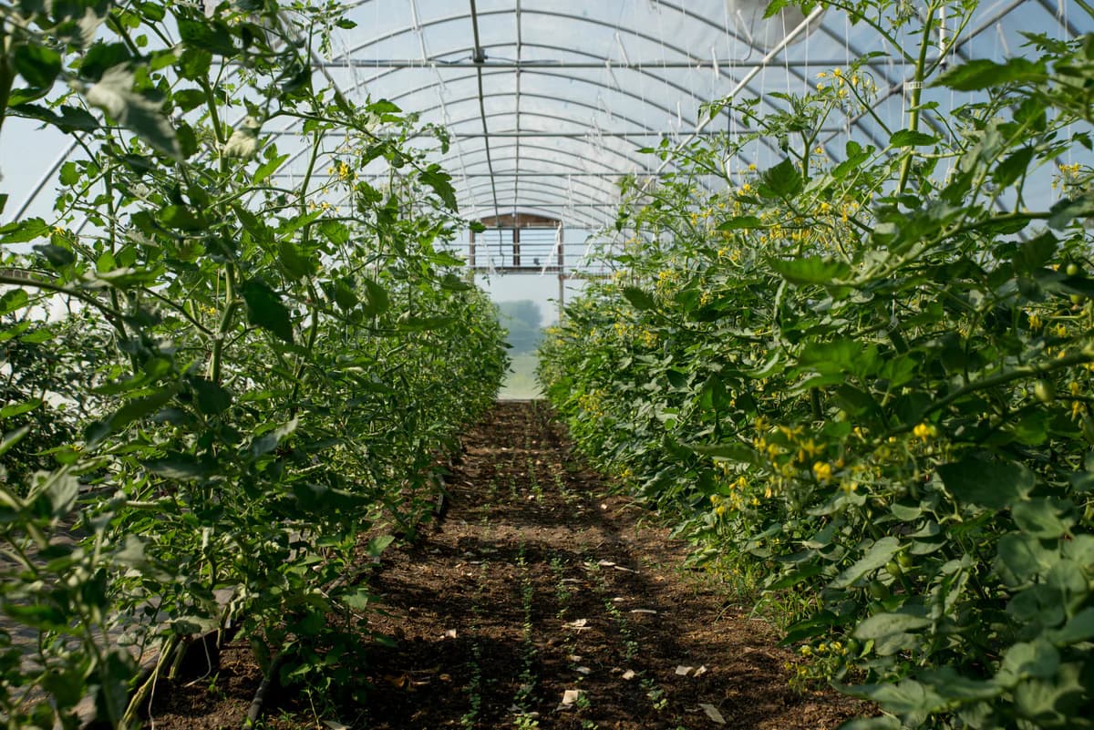 Green Wagon Farm of Ada