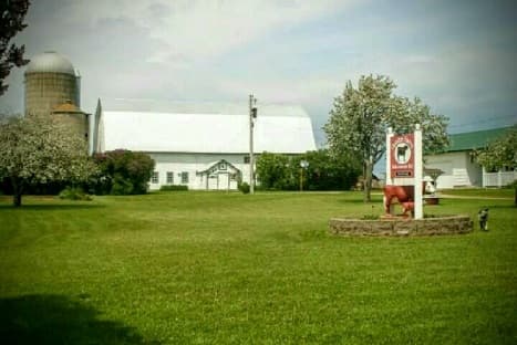 Guindon Farms