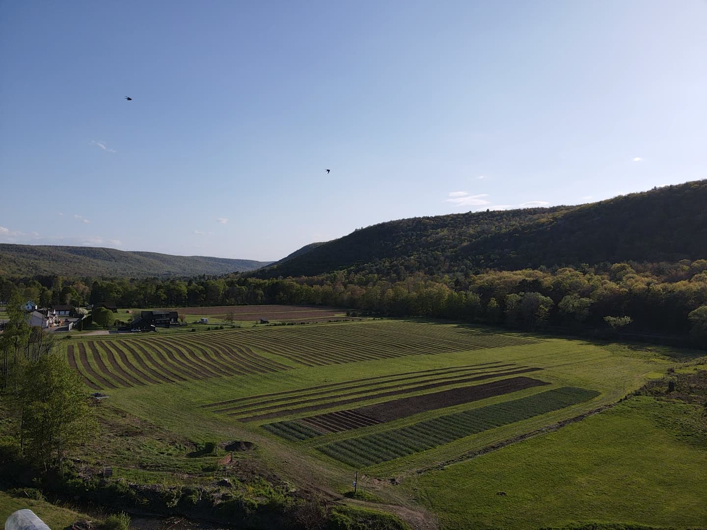 Habee Farm
