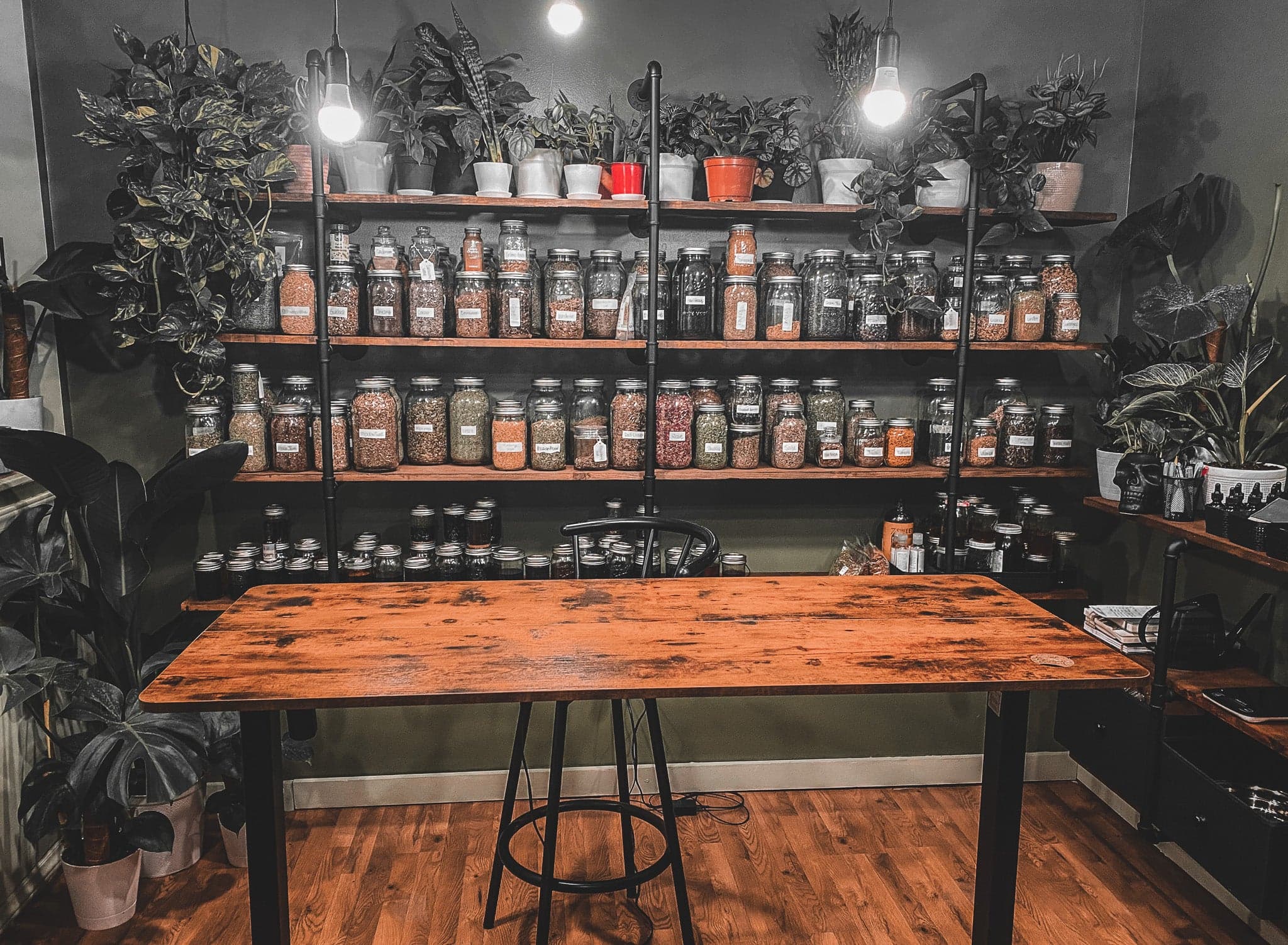 Haints and Hollers Apothecary
