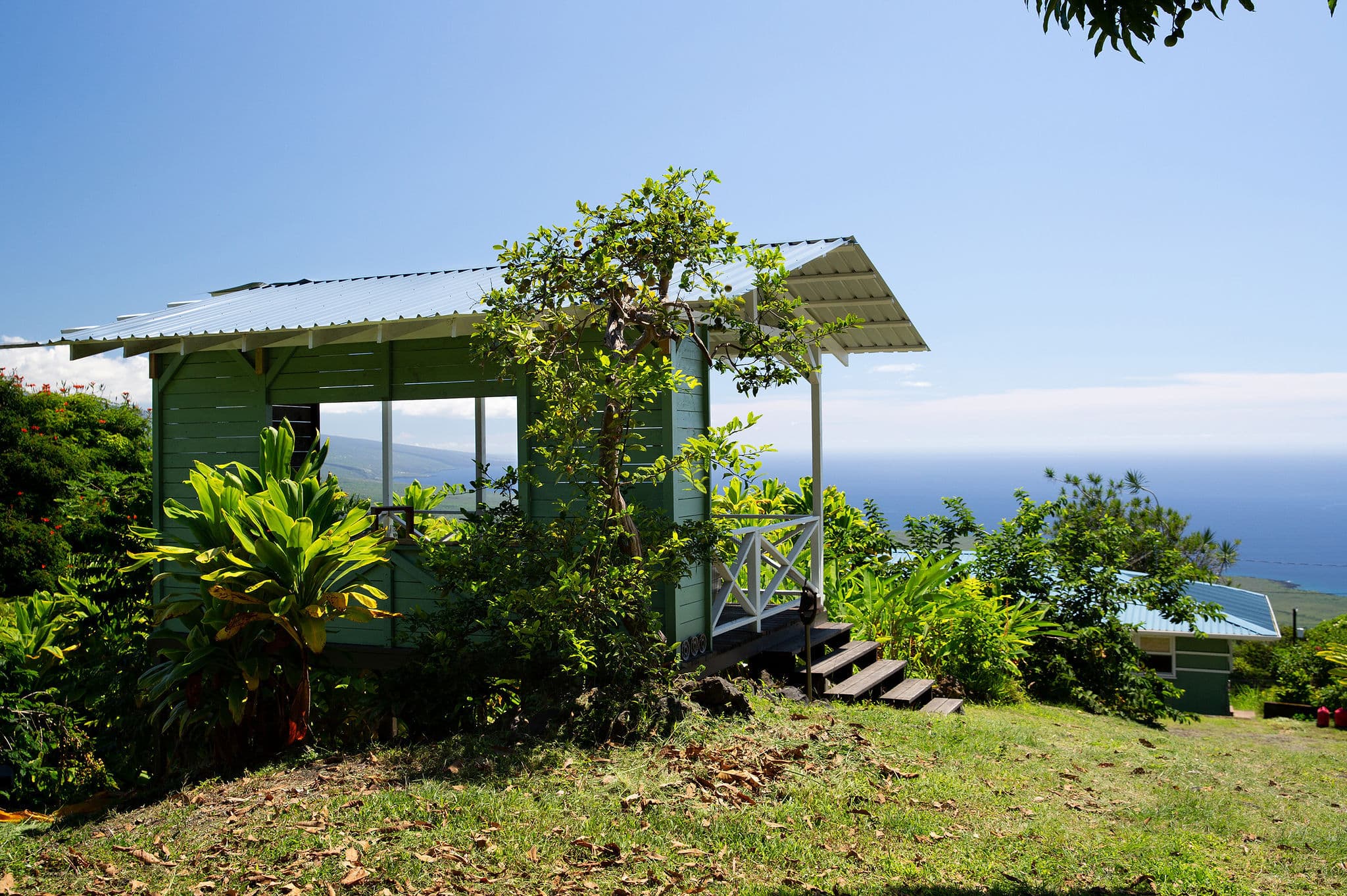 Hala Tree Coffee