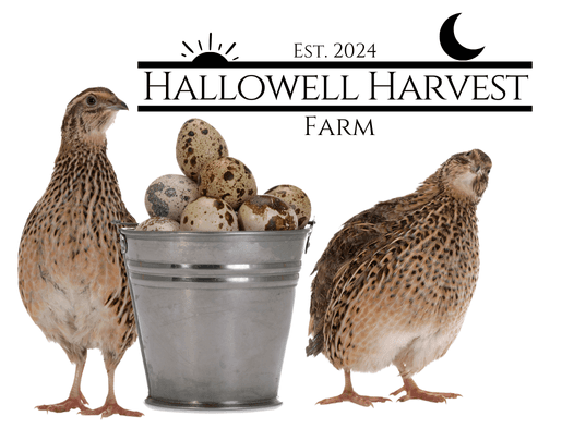 Hallowell Harvest Farm