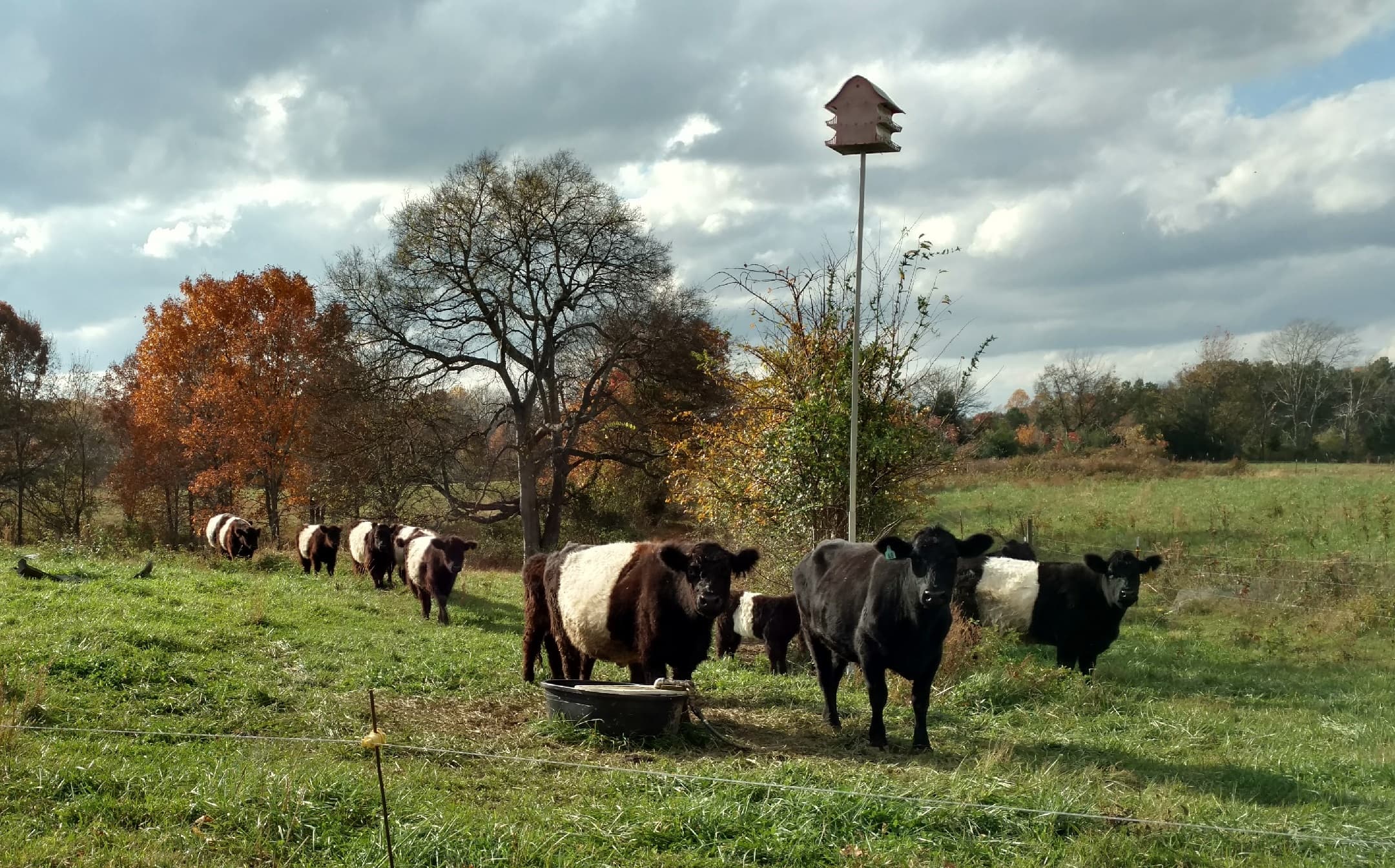 Happily Ever After Farm photo 2