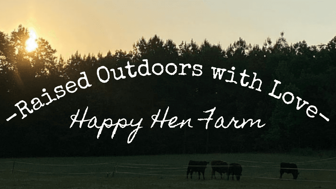 Happy Hen Farm
