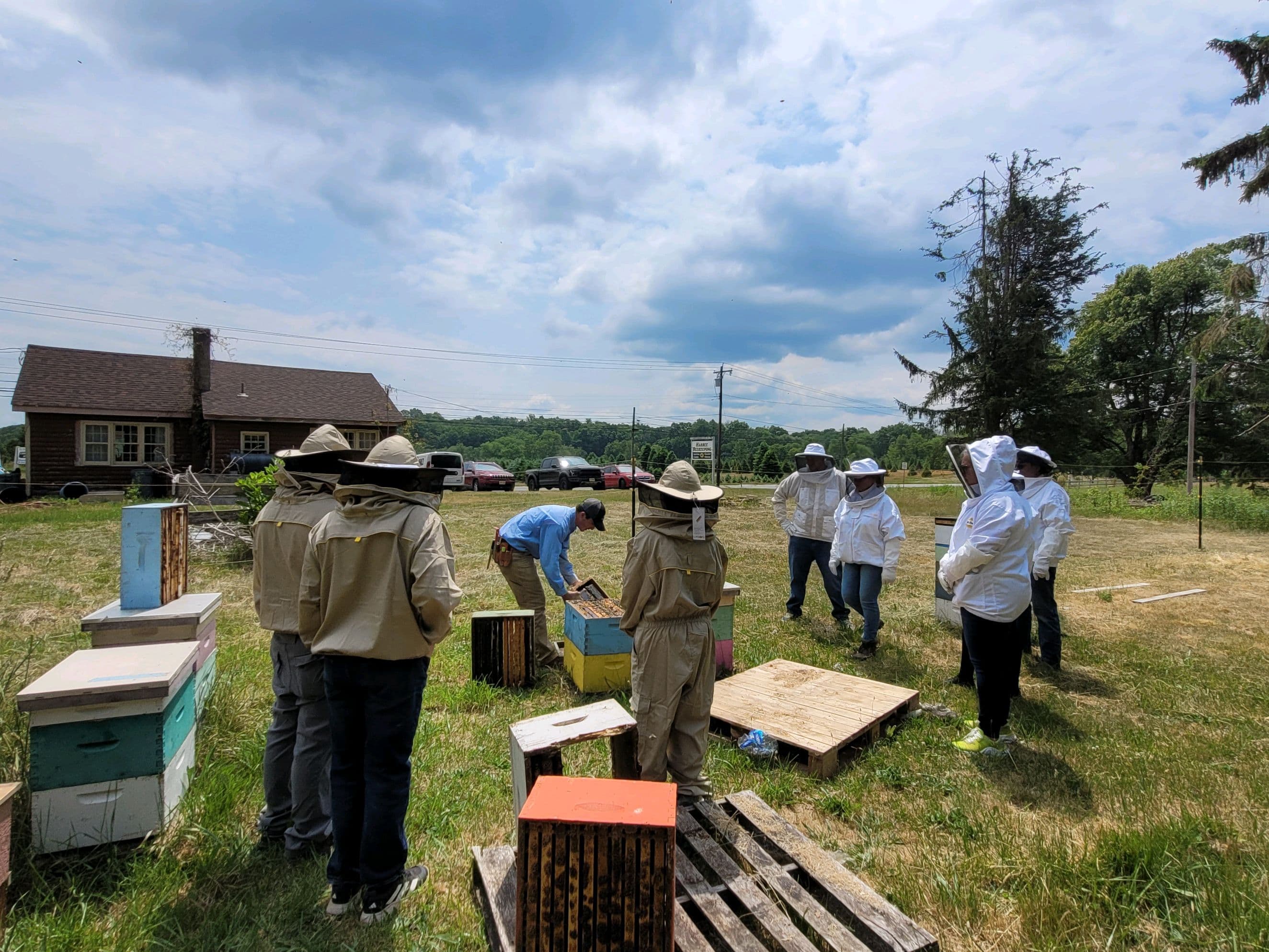 HarBee Beekeeping photo 2