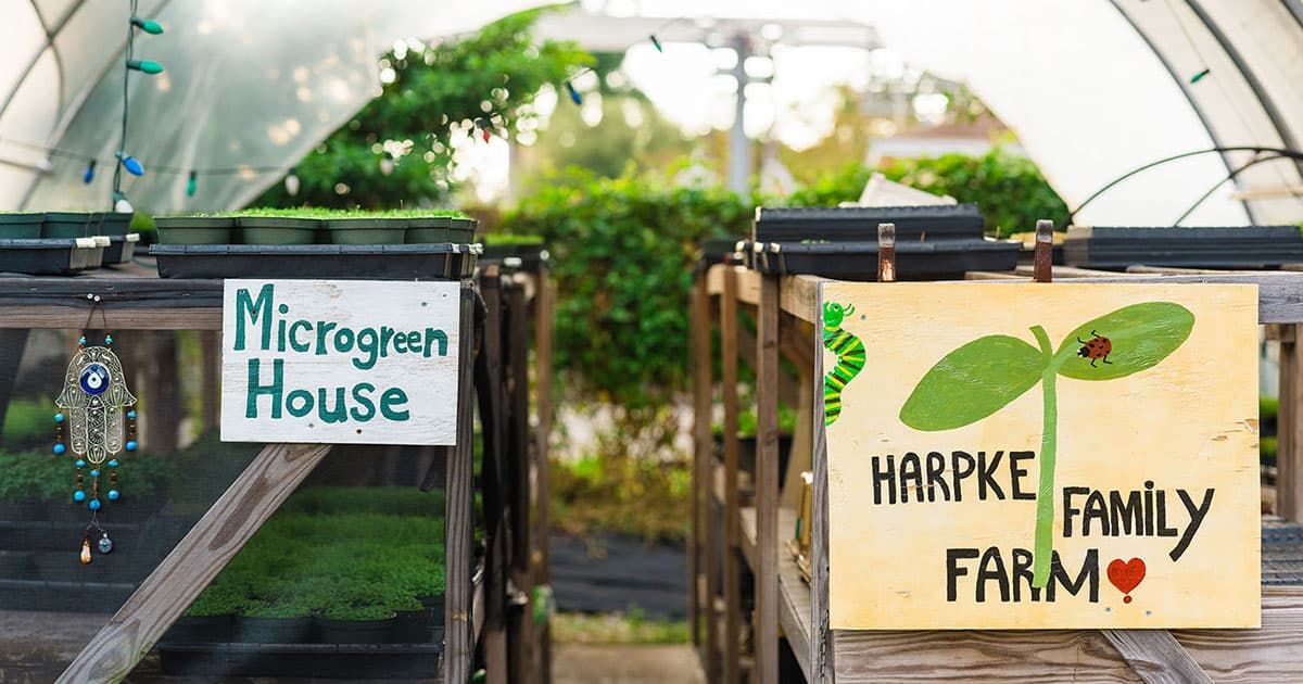 Harpke Family Farm, LLC photo 2