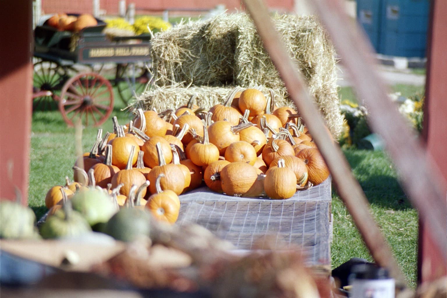 Harris Hill Farm