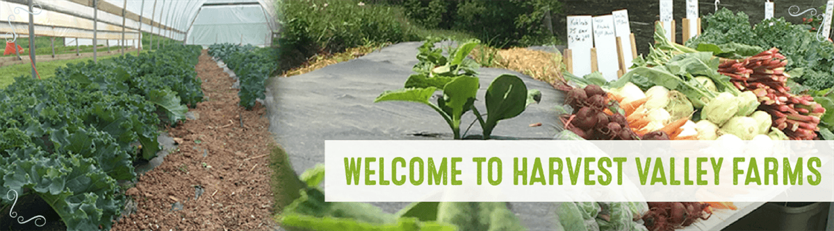 Harvest Valley Farms