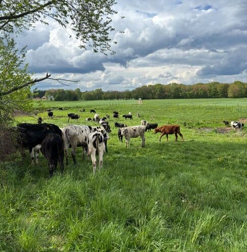 Hastings Farm LLC