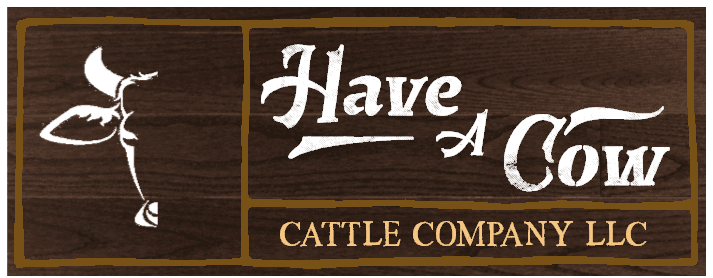 Have A Cow Cattle Co. Cafe and Urban Farm Store photo 2
