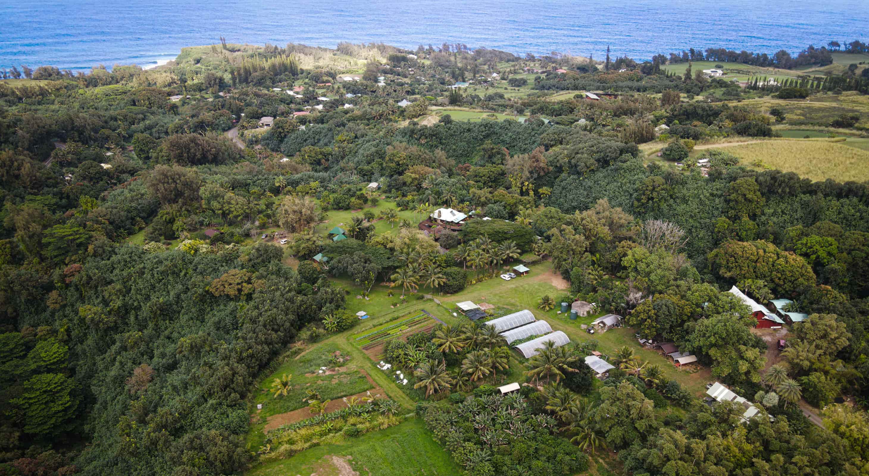 Hawai'i Institute of Pacific Agriculture photo 2