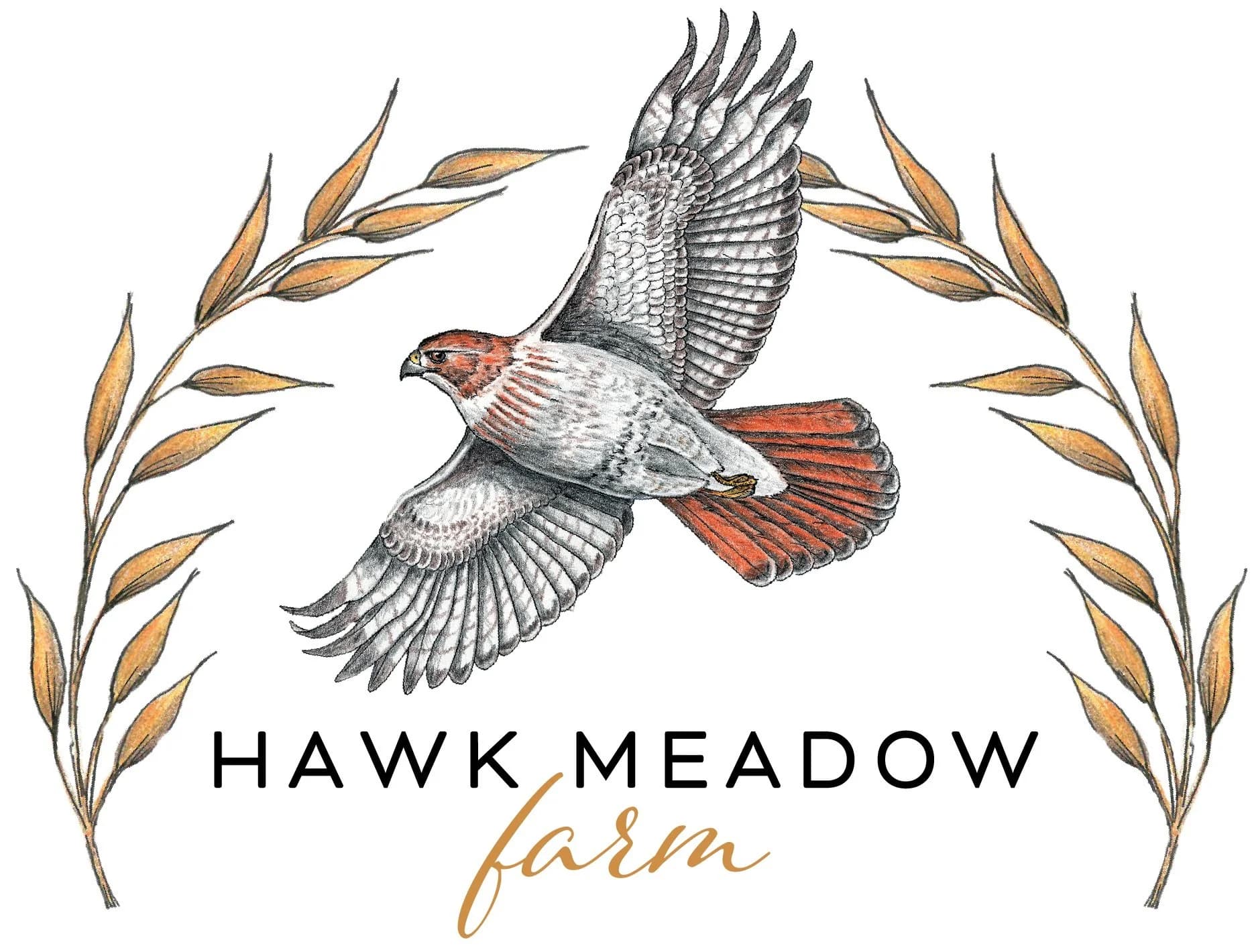 Hawk Meadow Farm photo 2