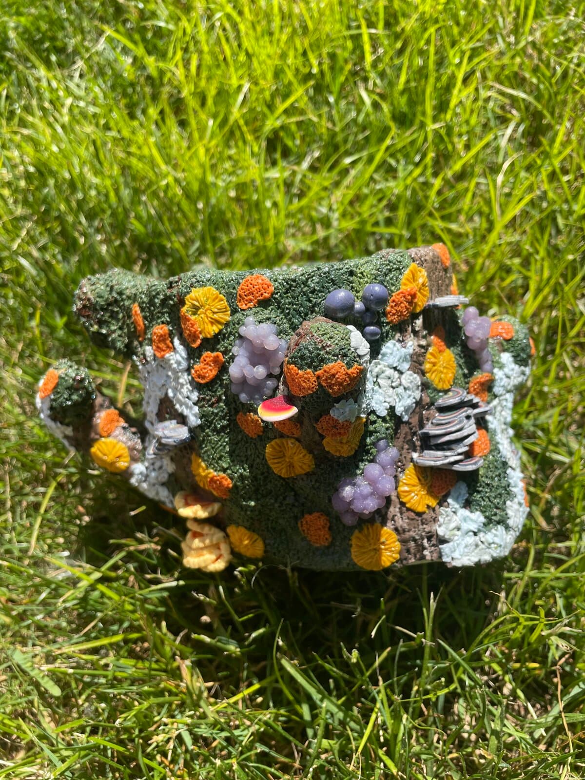 Hazelbuds Clay Co photo 2