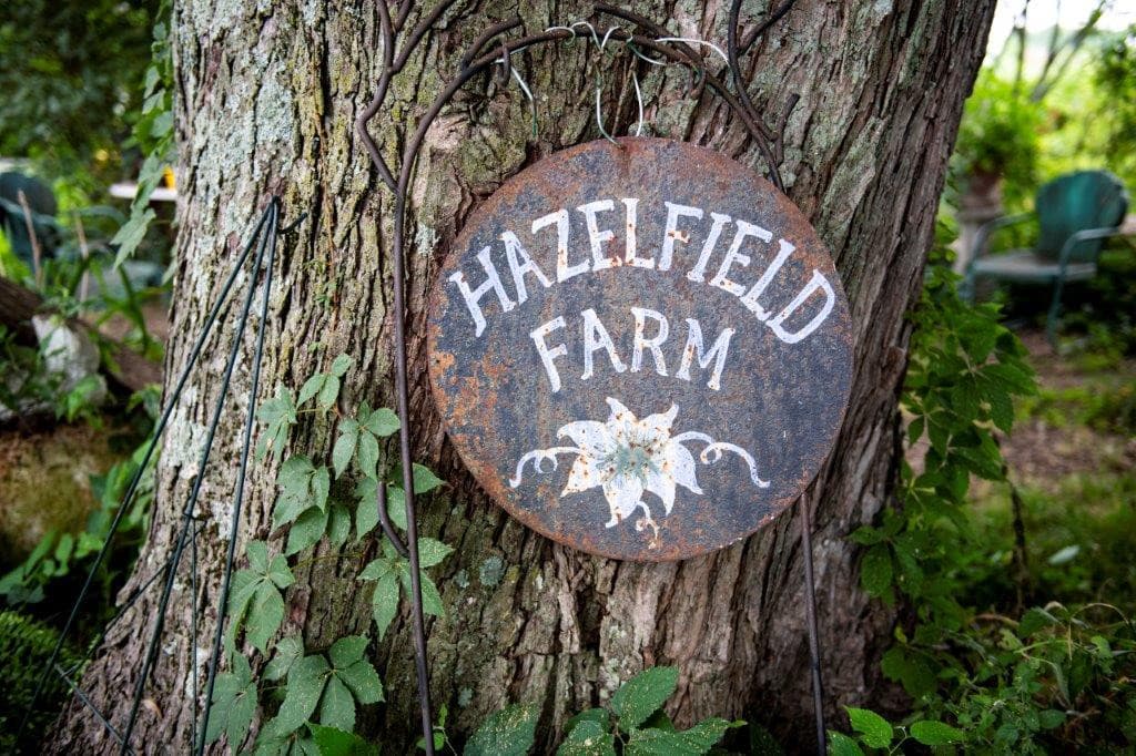 Hazelfield Farm Flowers