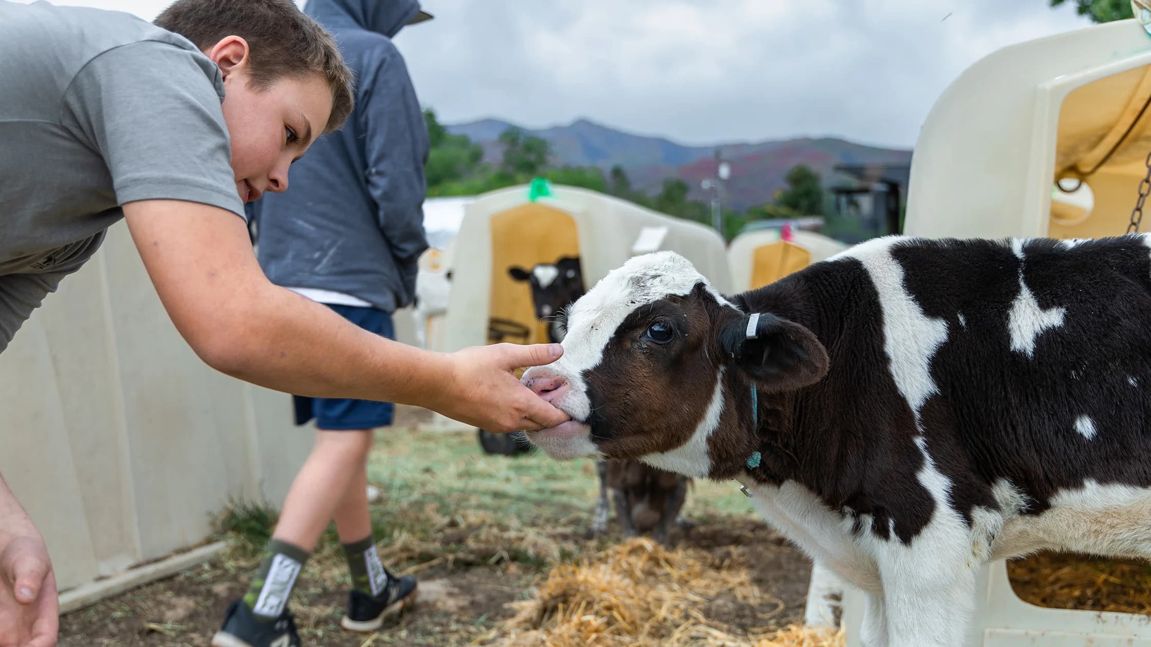 Heber Valley Milk & Artisan Cheese