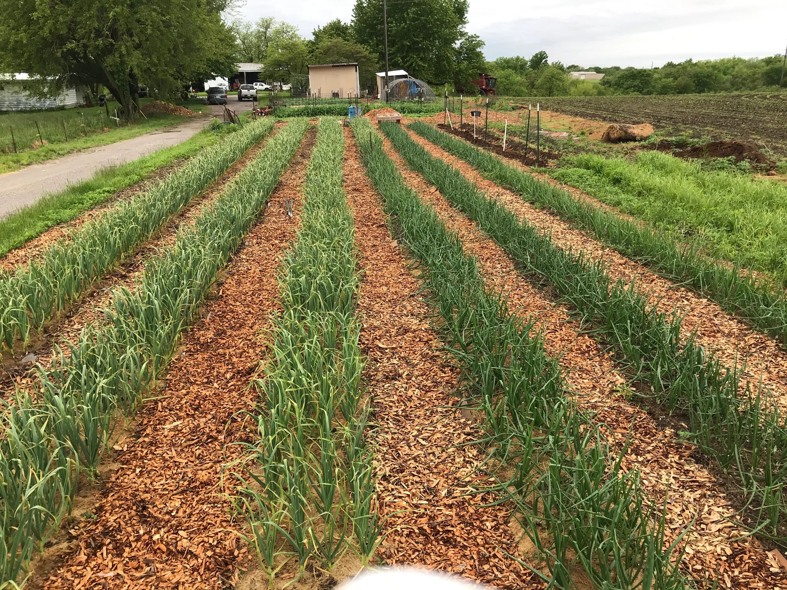 Heimsoth Farm photo 2