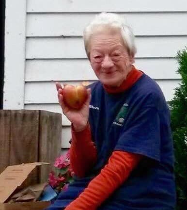Heller Orchards LLC