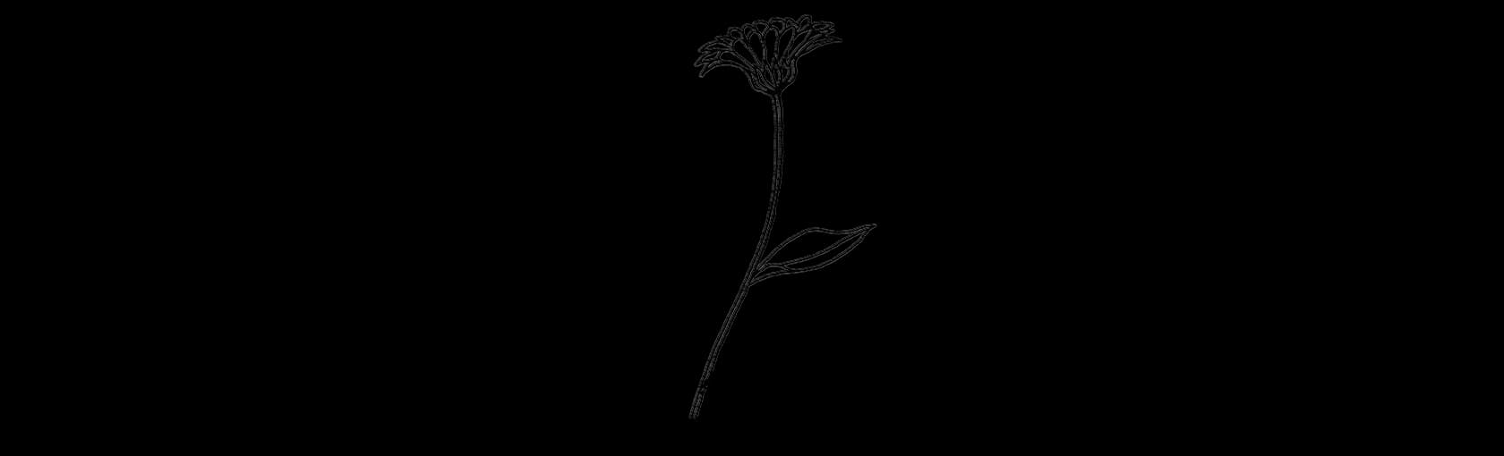 Herbal Beauty aka YULA