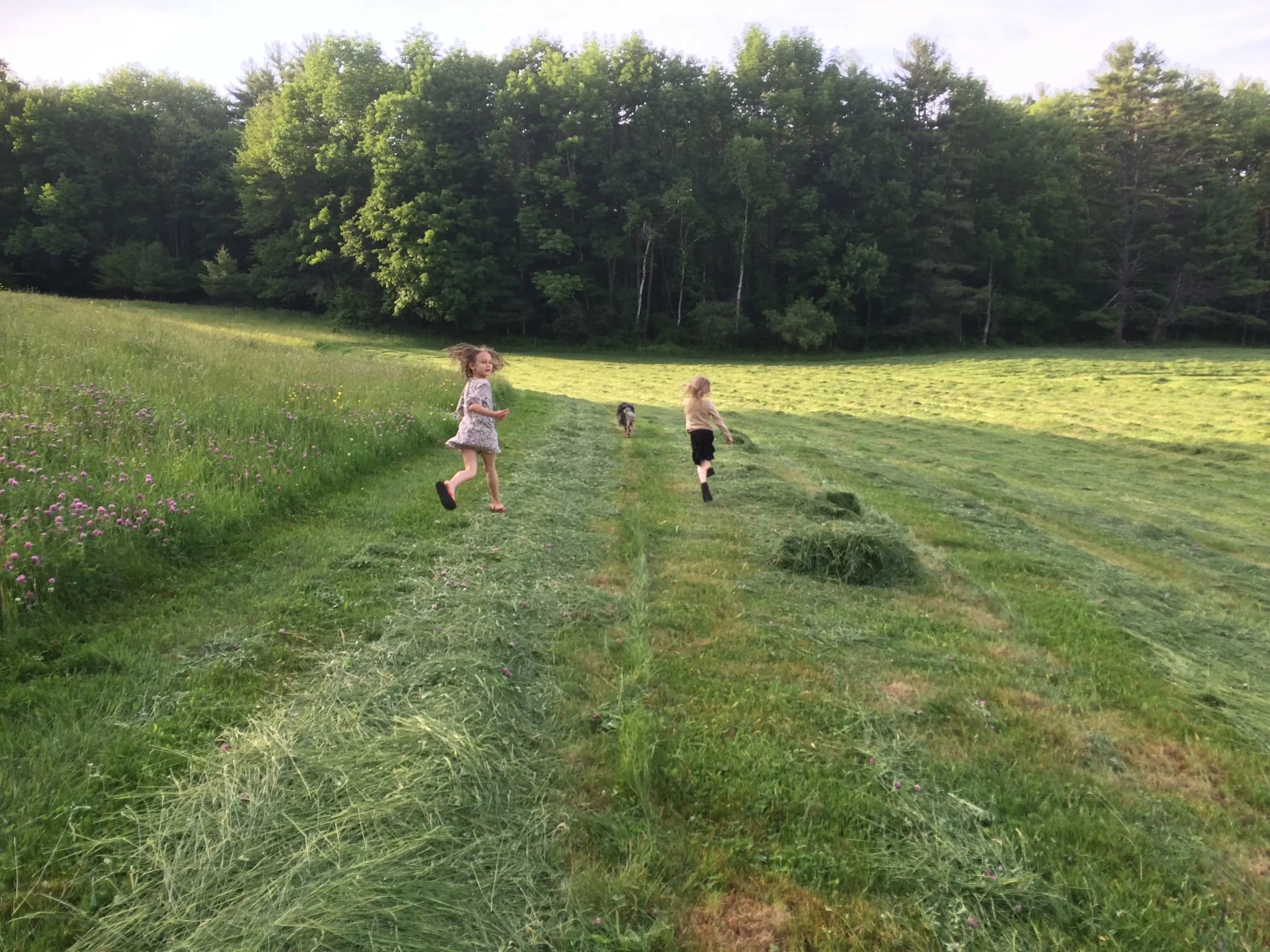 Hettie Belle Farm