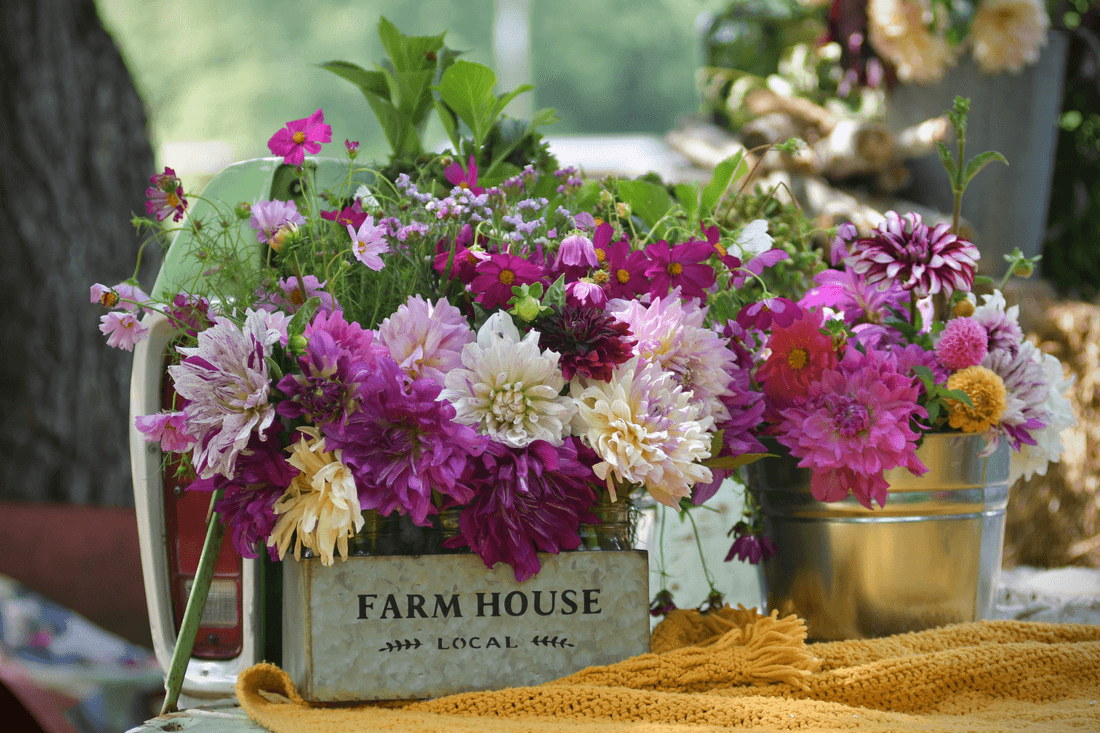 Hidden Creek Farm