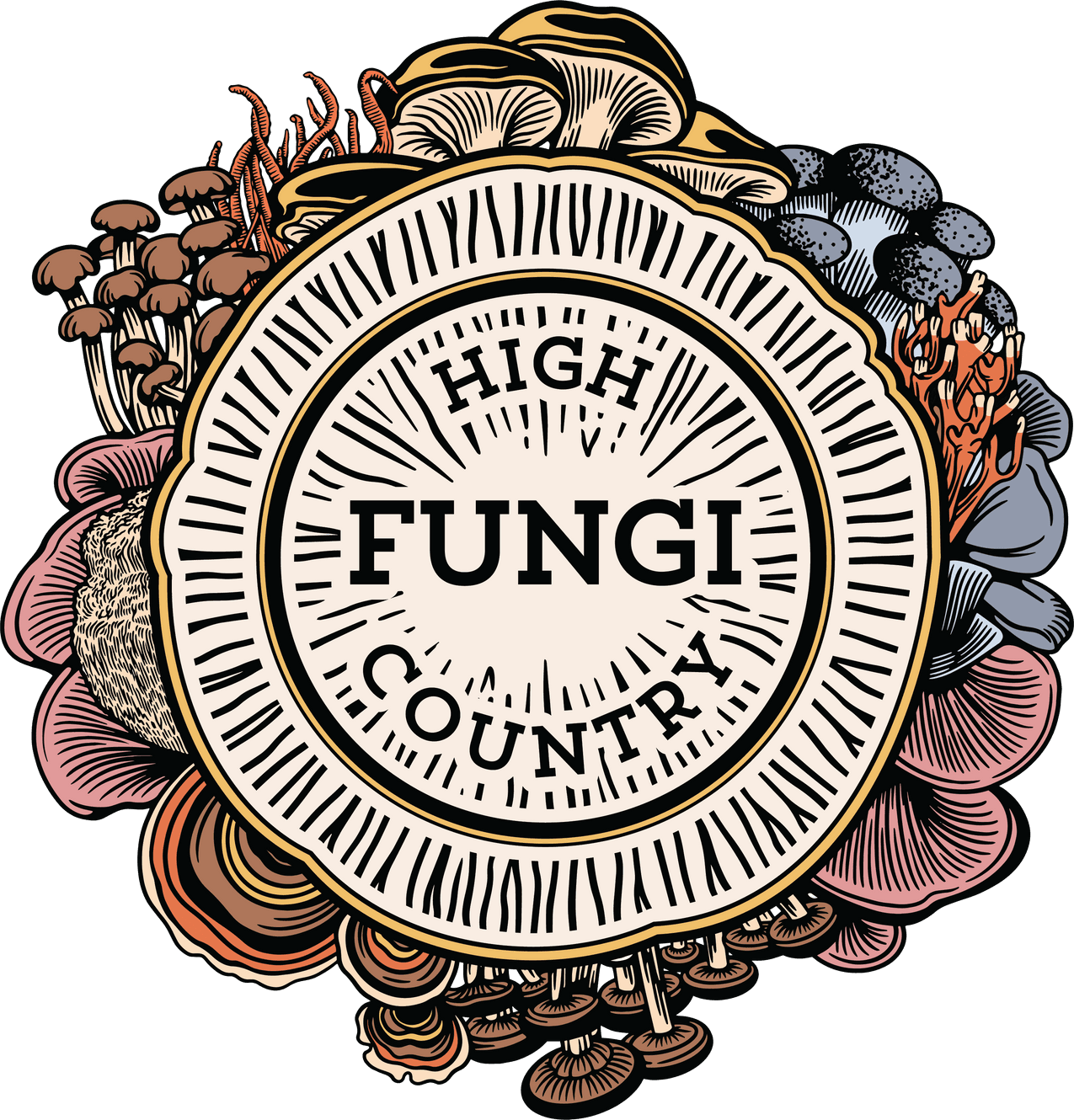 High Country Fungi