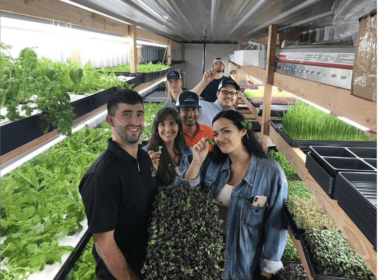 High Ridge Hydroponics photo 2