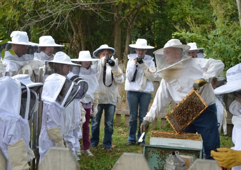Hillside Honey (Ty and Shelley Martin) photo 2