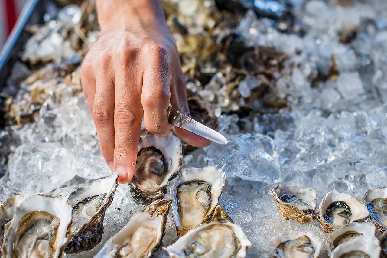 Hog Island Oyster Company