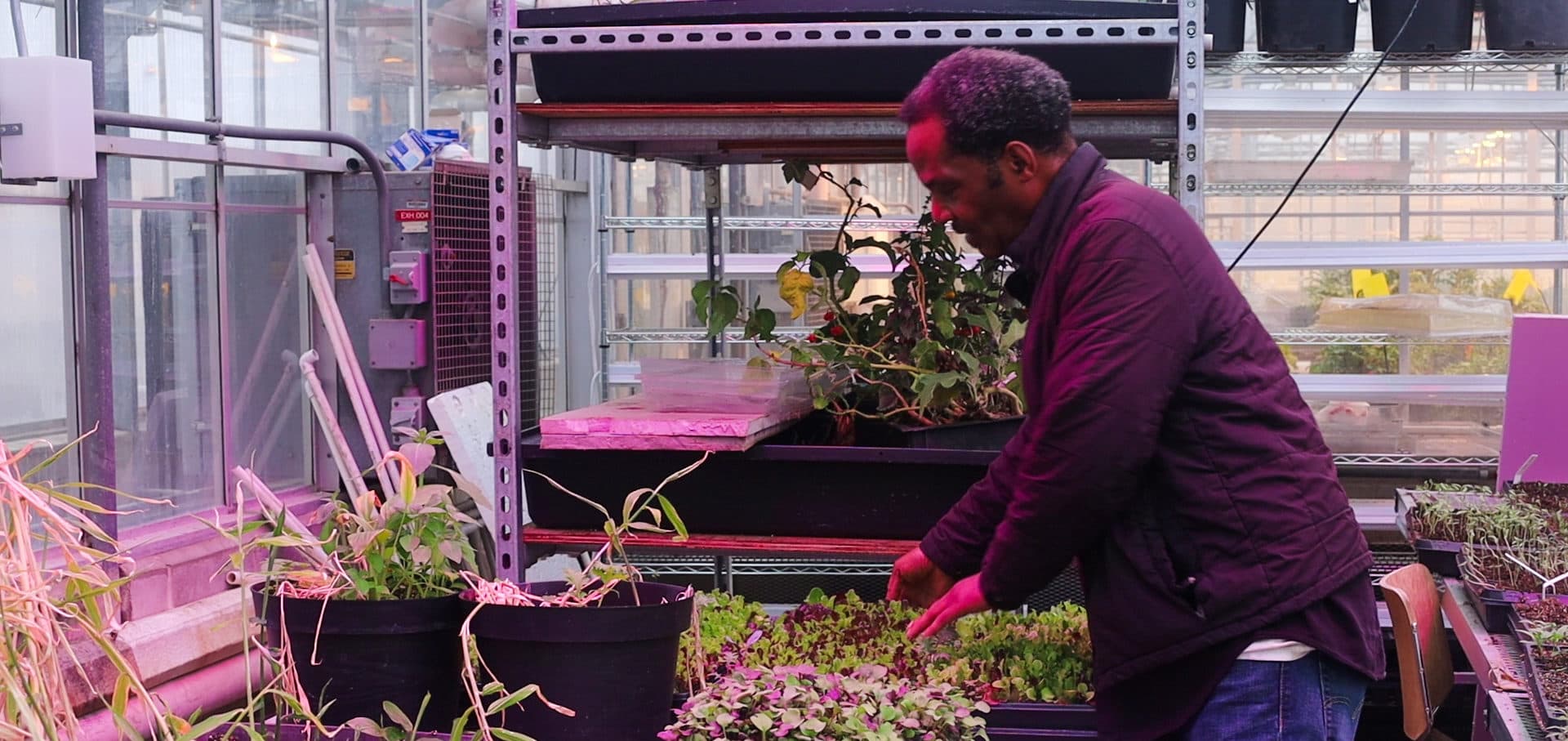 Holistic Health Farms