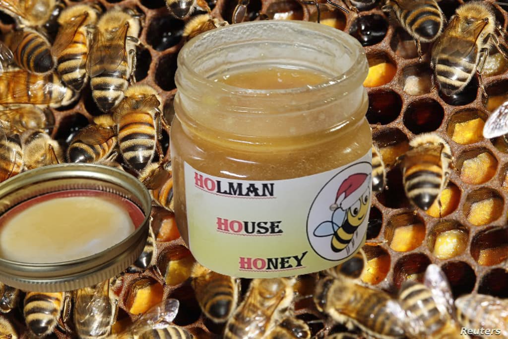 Holman House Honey