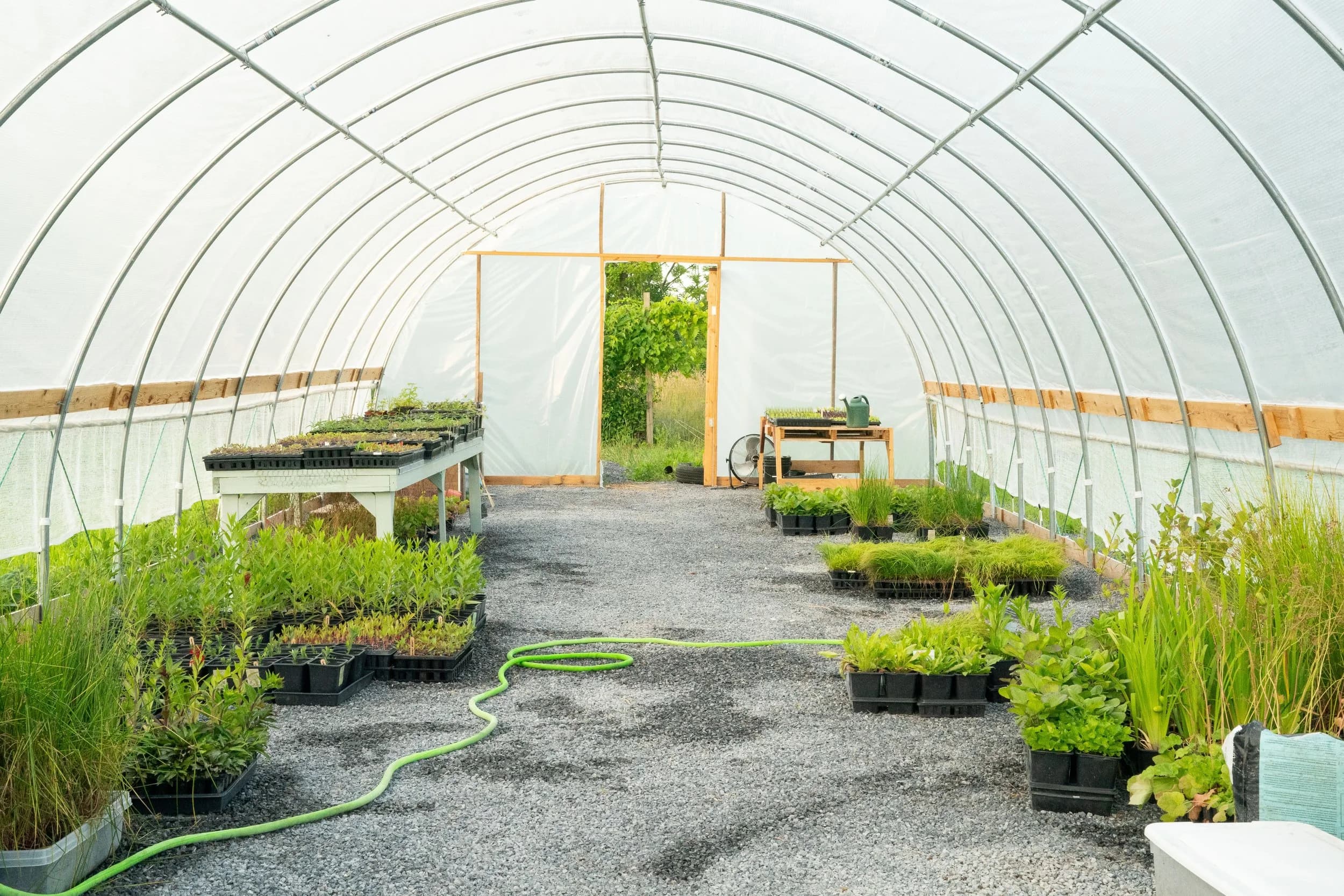 Home Earth Alliance / IMAGINE Native Plant Farm photo 2