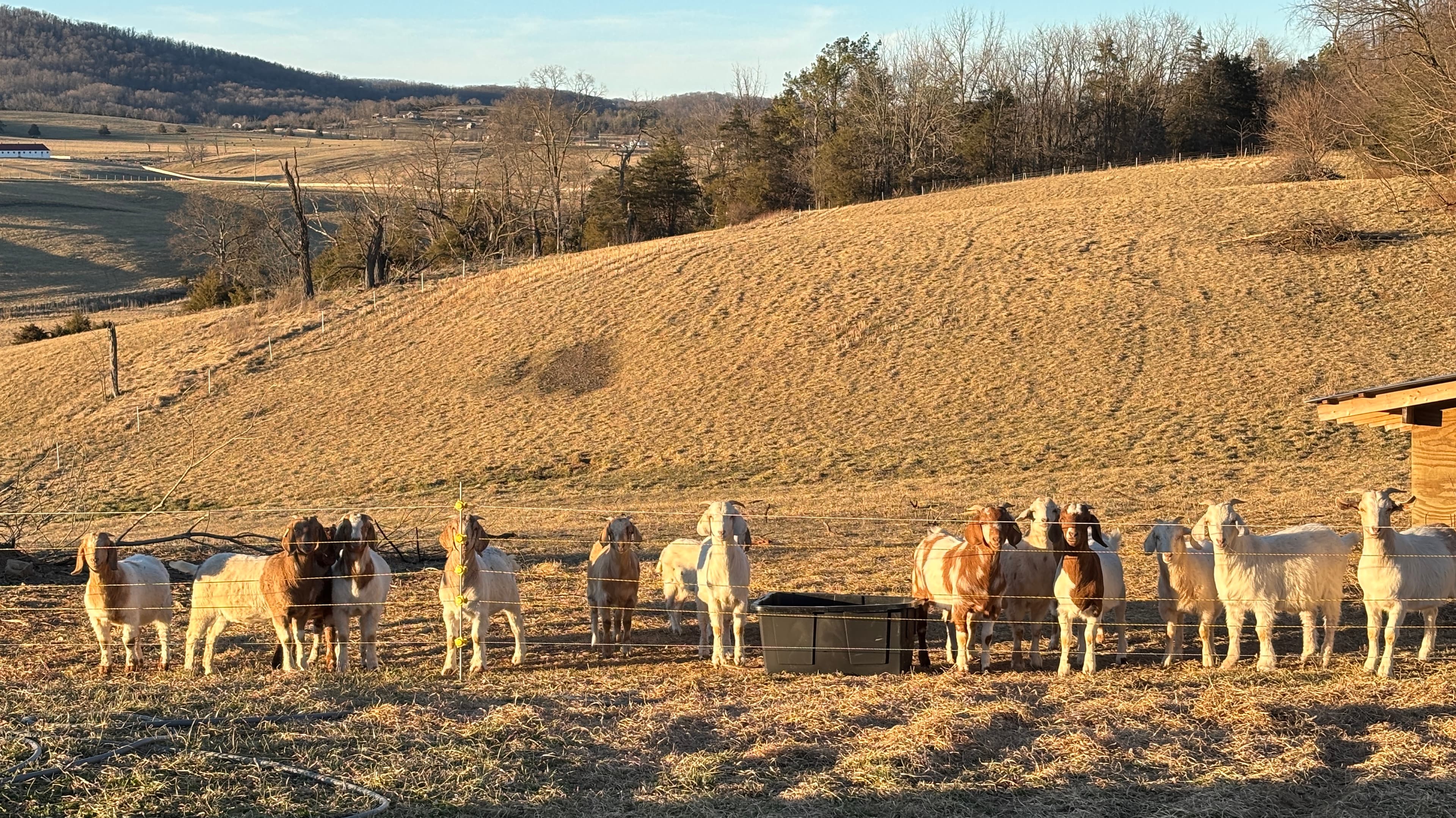 HomeAgain Farm