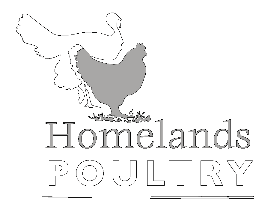 Homelands Poultry photo 2