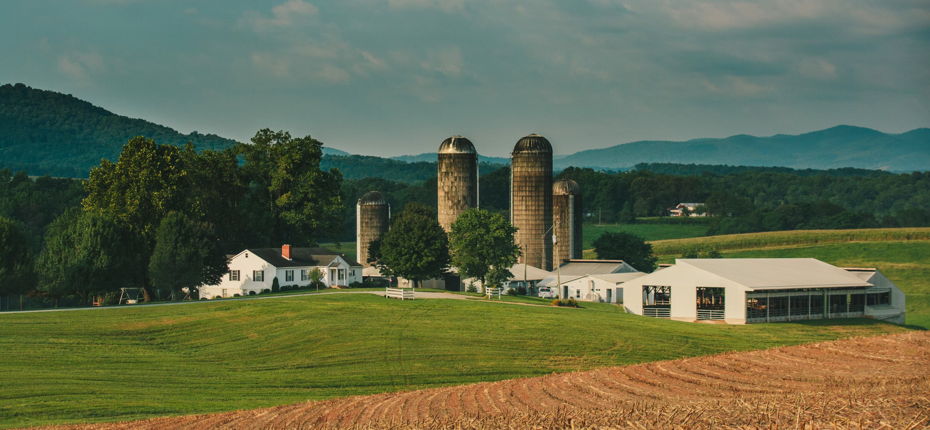 Homestead Creamery
