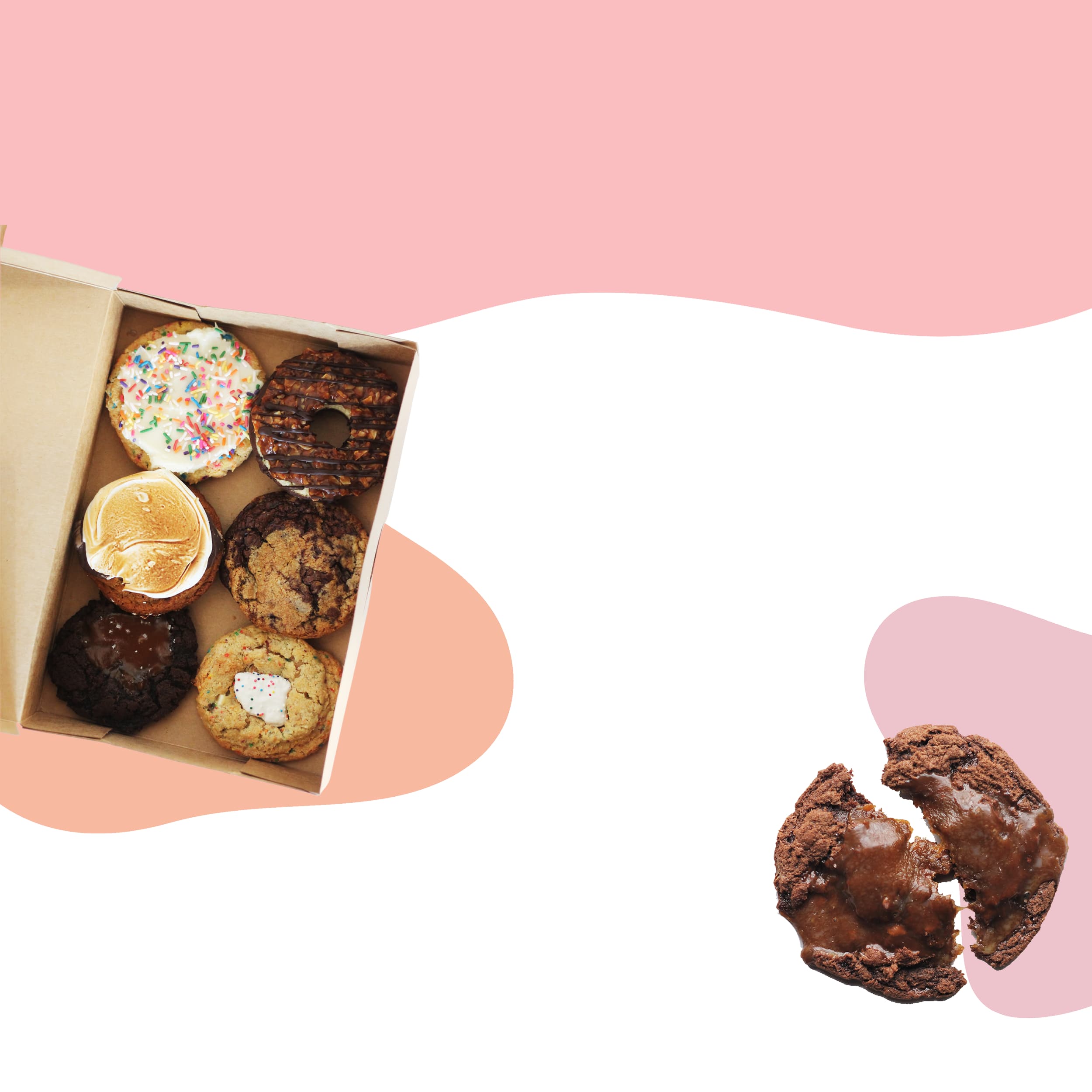 Honey Bear Bake Shop