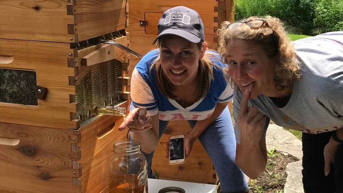 Honey Lake Bee Company photo 2
