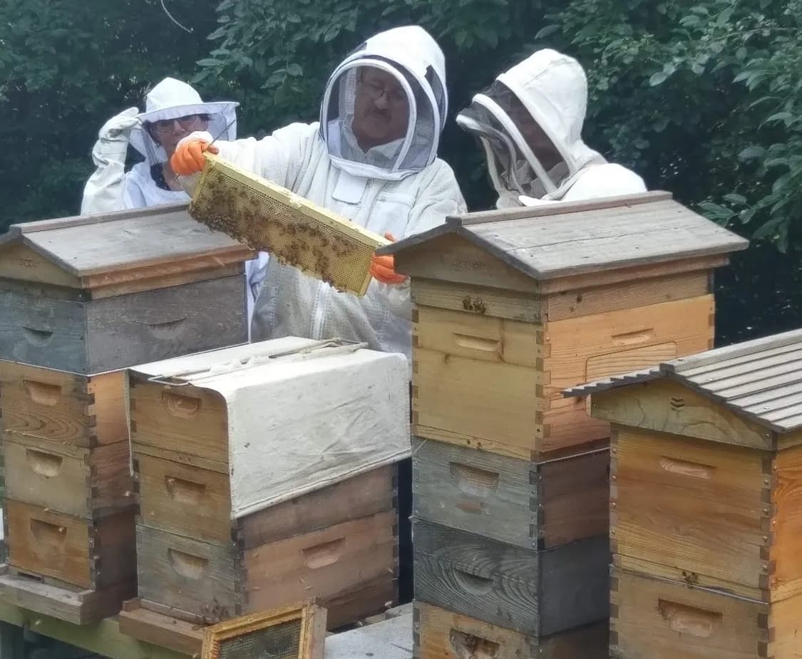 Honey with Style