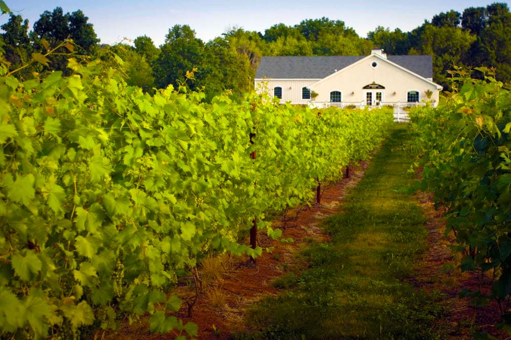 Hopewell Valley Vineyards