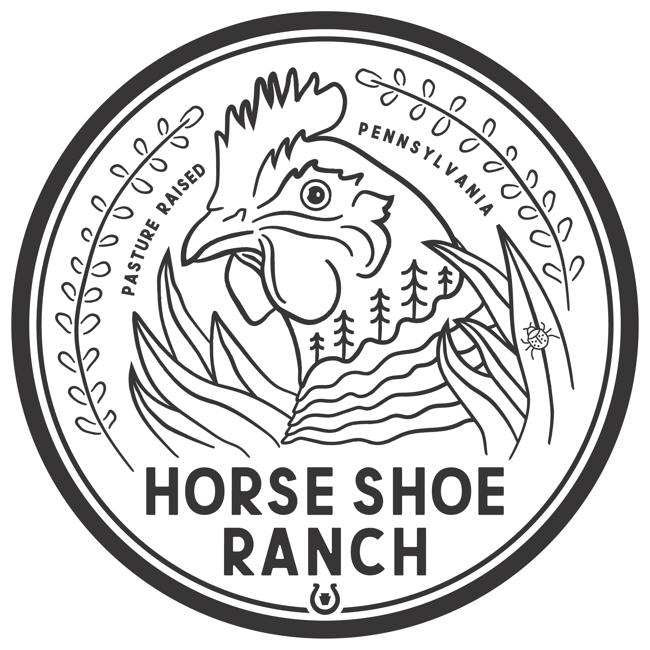 HORSE SHOE RANCH photo 2