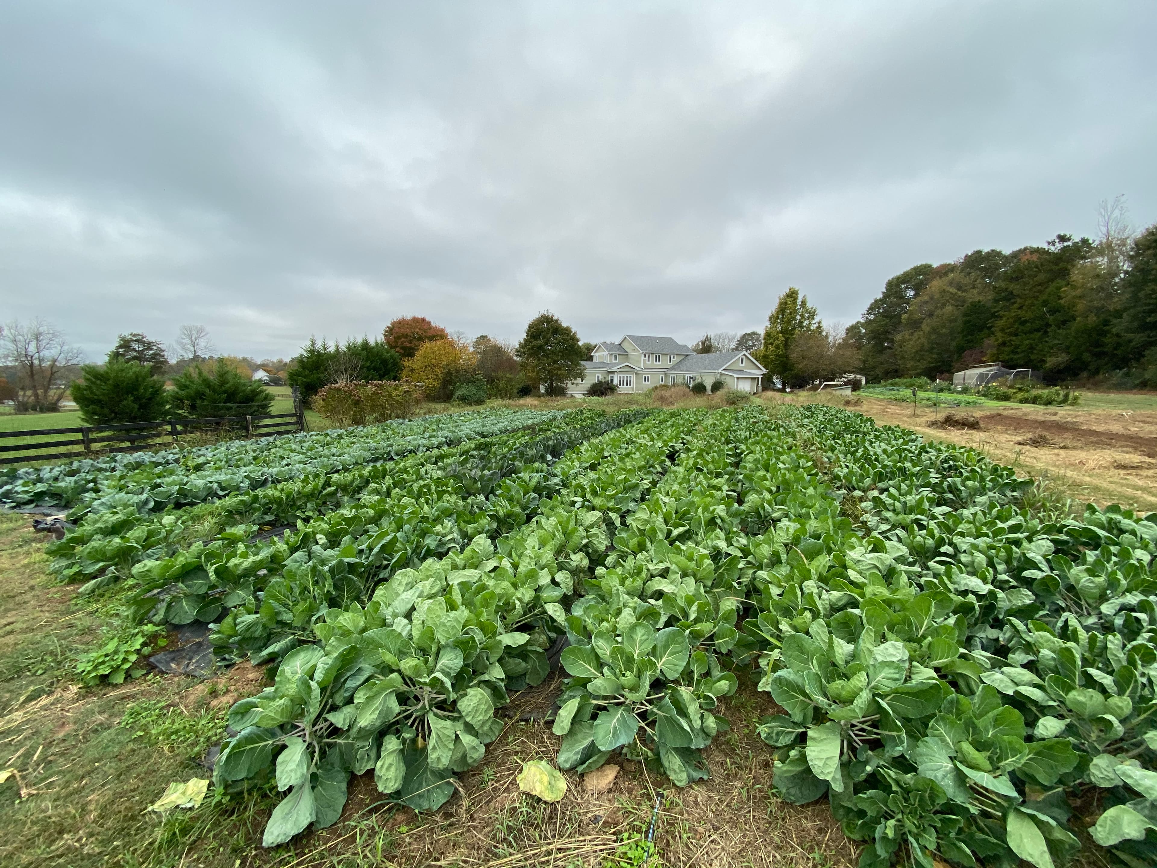 Hurtgen Meadows Farm