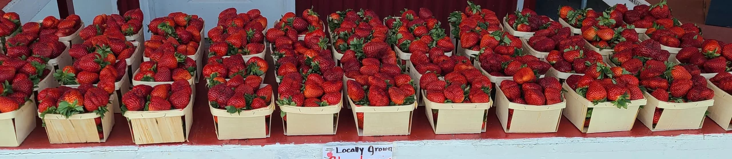 Husted's Farm Market photo 2