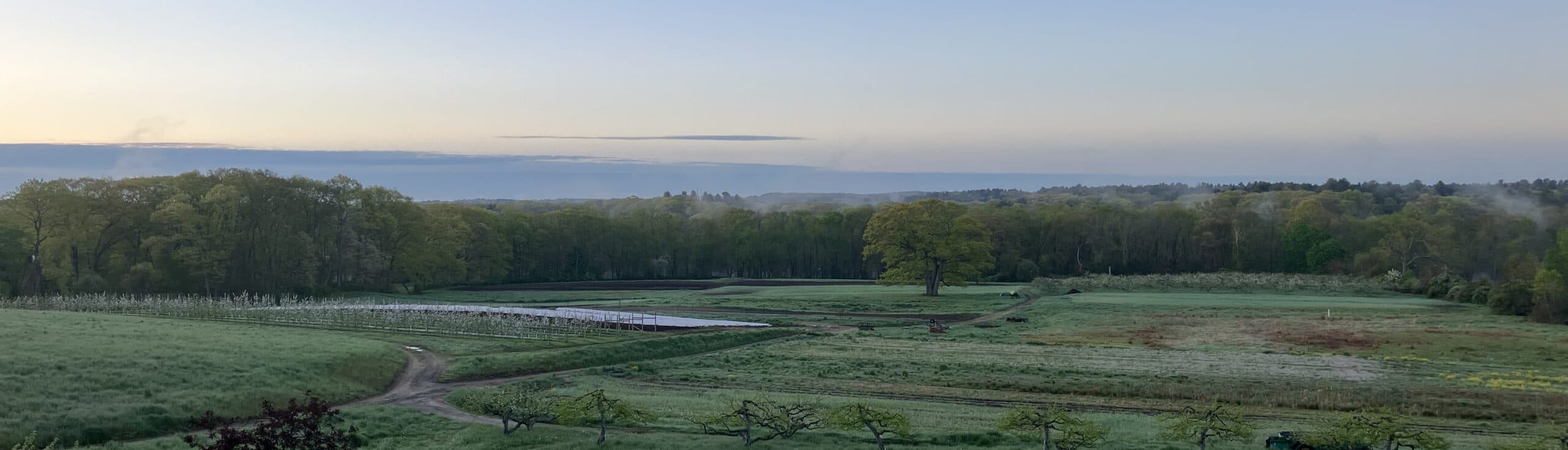 Hutchins Farm