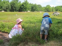 Intervale Farm