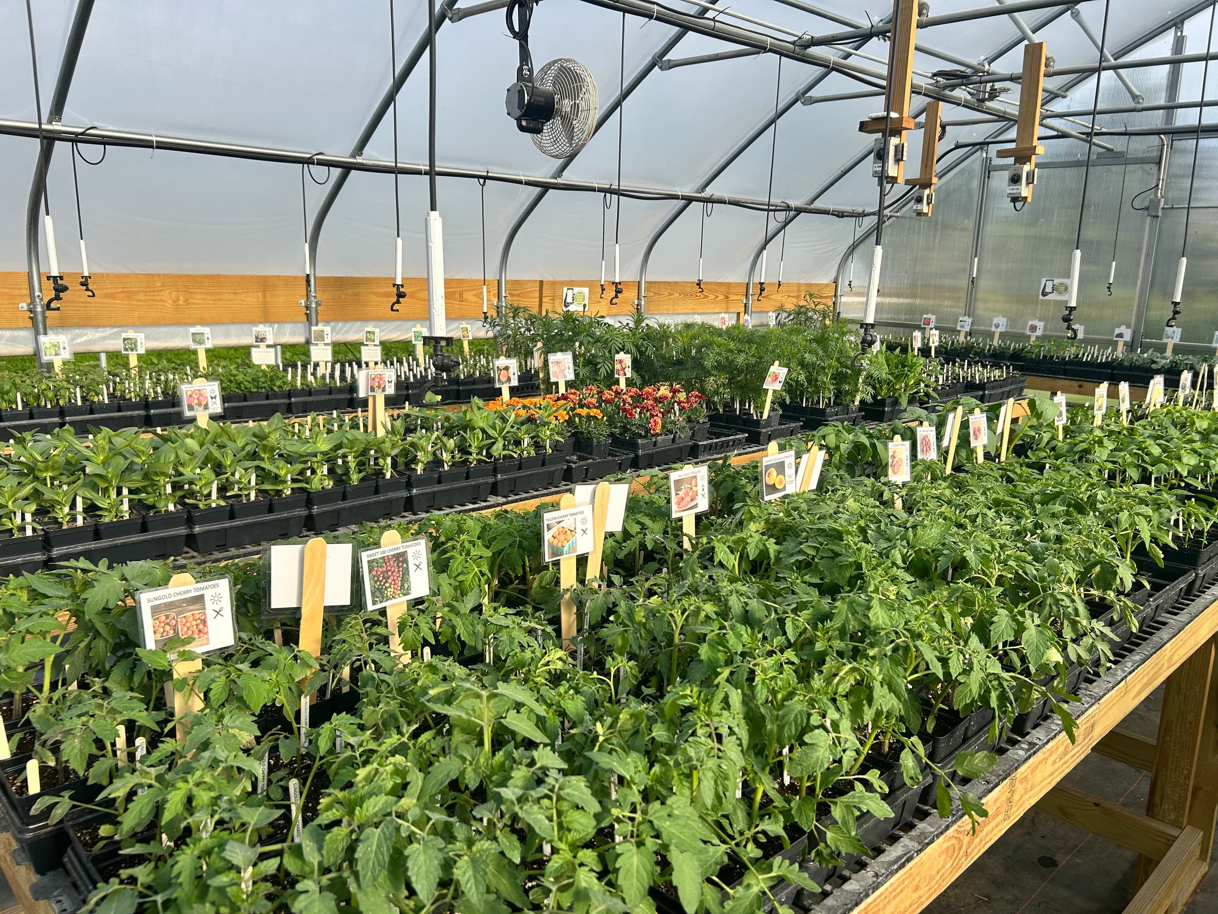 Iowa Grown Market photo 2
