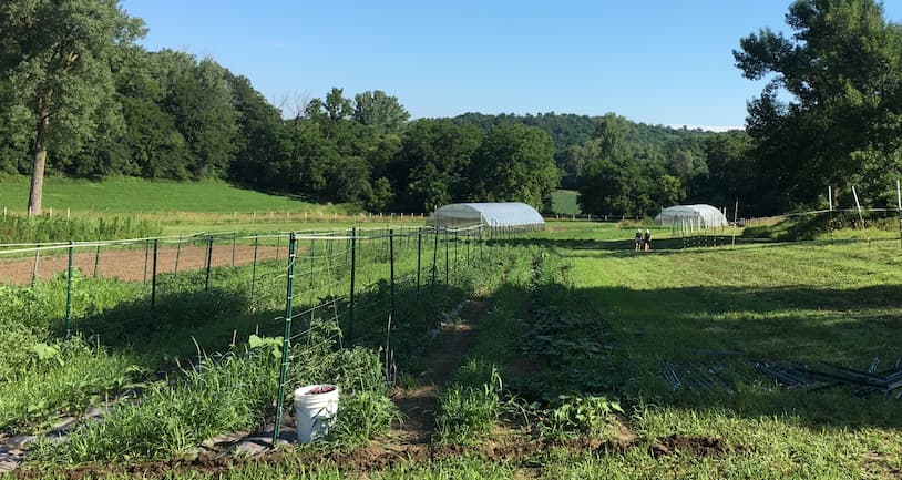 Iowana Farm CSA